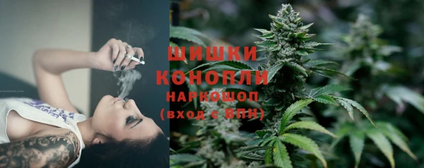 трава Наволоки