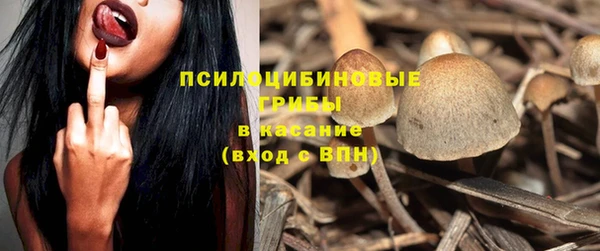 гашик Надым
