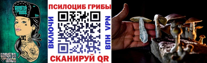Псилоцибиновые грибы ЛСД  сколько стоит  kraken зеркало  Жирновск 