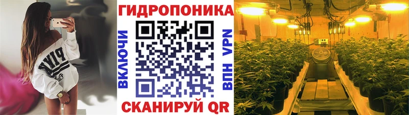 Марихуана Amnesia  что такое   Жирновск 